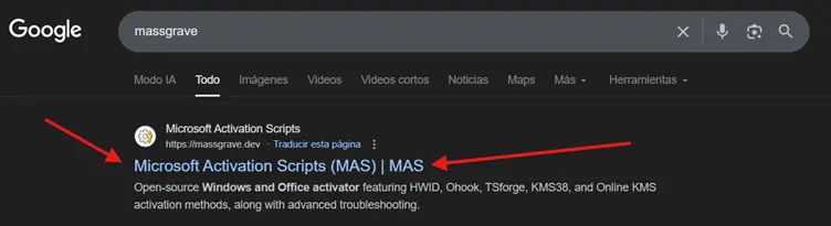Primer resultado de búsqueda massgrave