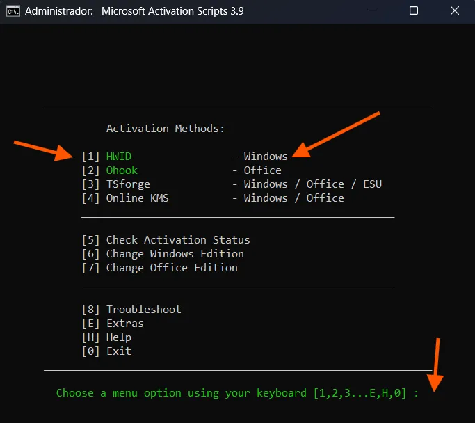 Menú de opciones de activación con opción 1 seleccionada